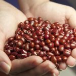 red-beans-587592_640